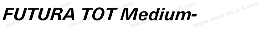 FUTURA TOT Medium字体转换